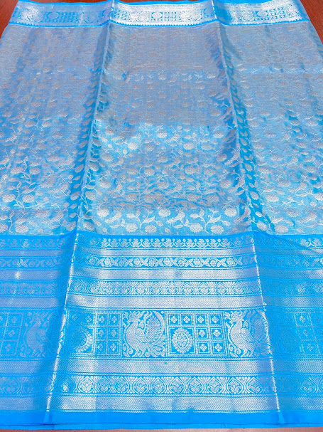 Sky Blue Venkatagiri Handloom Pattu Silk Saree