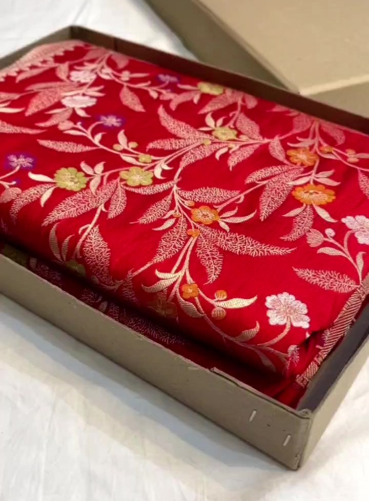 Red Banarasi Handloom Katan Silk Meenakari Bridal Saree